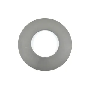 Spicer SPRING 504776 