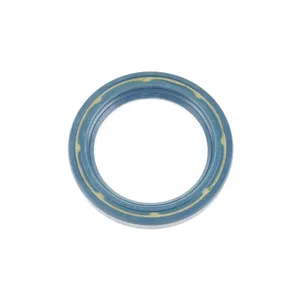 Spicer SEAL 513756 
