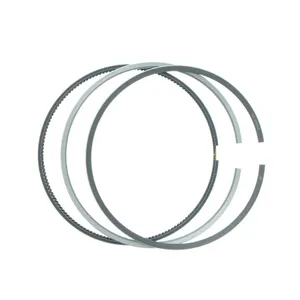 PAI SET,RING 307002 