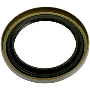 SKF Seal 491070 