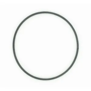 SKF O-Ring 495016 