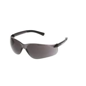 ToolWeb SAFETY GLASSES 1279004 