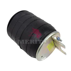 Firestone Air Spring 768840 