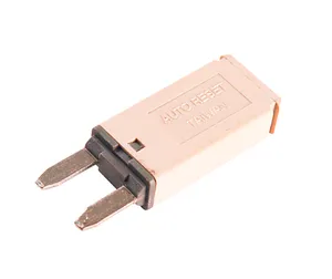 Grote Circuit Breaker 279904 