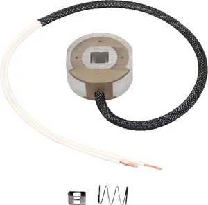 DEXTER AXLE MAGNT KIT 1165348 
