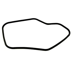 PAI GASKET FT COVER 319354 