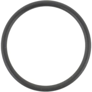 Spicer O RING 513640 