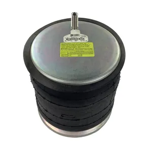 Hendrickson AIR SPRNG 315038 