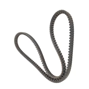 Dayco Accessory Drive Belt 223306 
