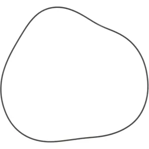 Spicer O RING 497122 