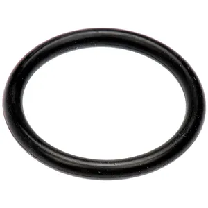 Dorman DRAIN PLG 385556 