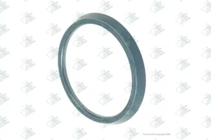 Euroricambi OIL SEAL 1118498 