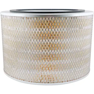 Baldwin AIR FILTER 1438612 