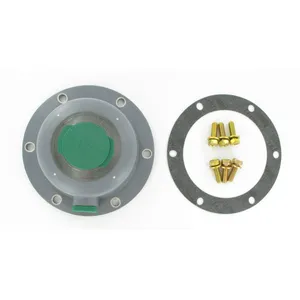 SKF HUB CAPS / 484336 