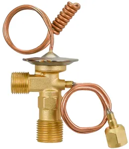 TruckAir Expansion Valve 419380 