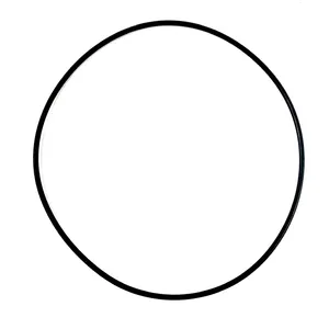 PAI O-Ring 234208 
