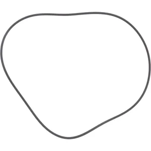 Spicer O RING 510290 