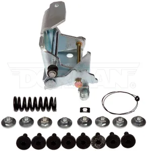Dorman DOOR HING 552828 