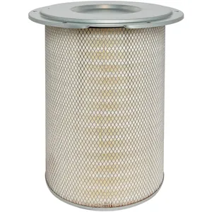 Baldwin Air Element 241156 