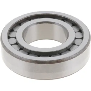 Spicer BEARING 529666 