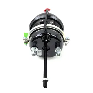 MGM Spring Brake (Piggy Back) Assembly 244556 