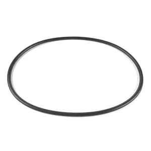 PAI O'RING 344856 