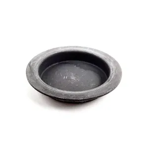 Eaton Plug 256562 